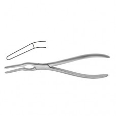 Asch Septum Straightning Forcep Stainless Steel, 22.5 cm - 8 3/4"